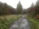 photo5_small.jpg