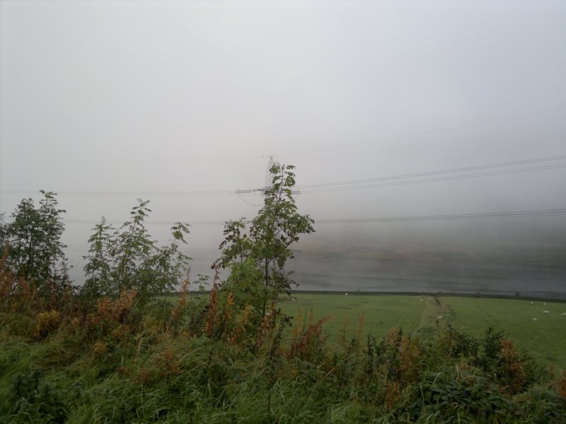 photo6.jpg