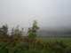 photo6_small.jpg