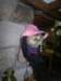 photo6_small.jpg