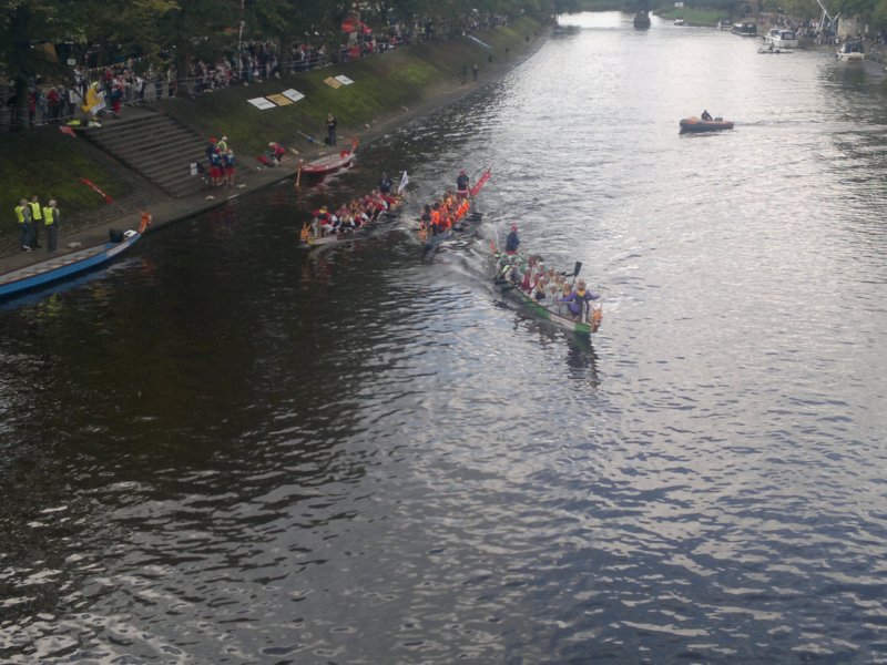 york4.jpg